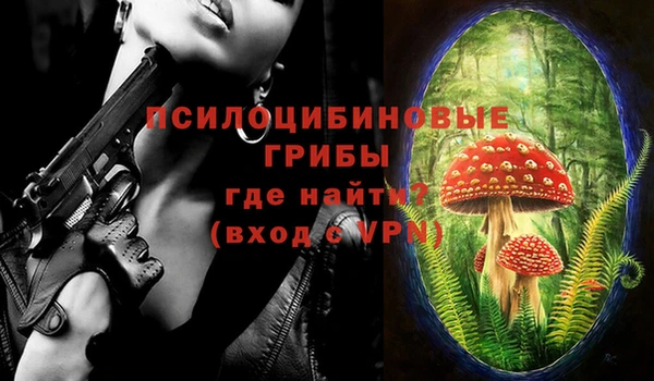 мяу мяу мука Беломорск