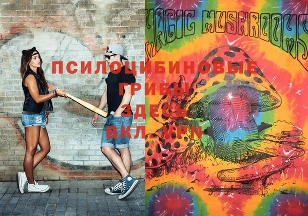 мяу мяу мука Тавда