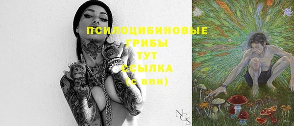 мяу мяу мука Беломорск