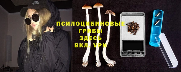 мяу мяу мука Беломорск