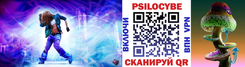 магазин продажи   Буинск  Галлюциногенные грибы MAGIC MUSHROOMS 